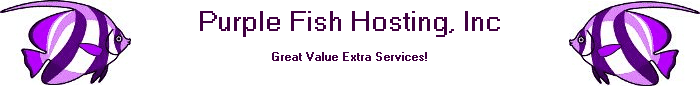 Purple Fish Hosting